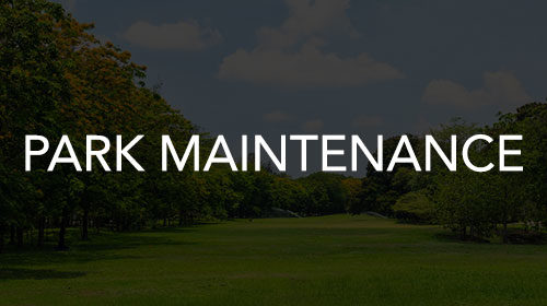Park Maintenance