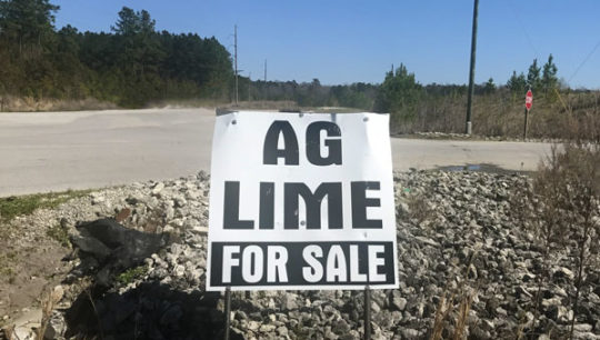 Agricultural Lime For Sale