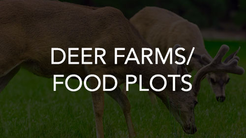 deer and food plots