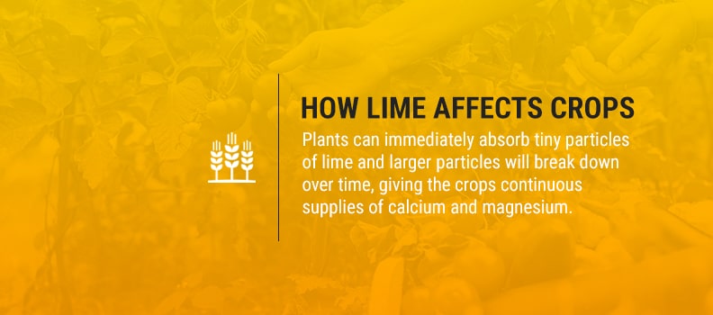 How Lime Affects Crops